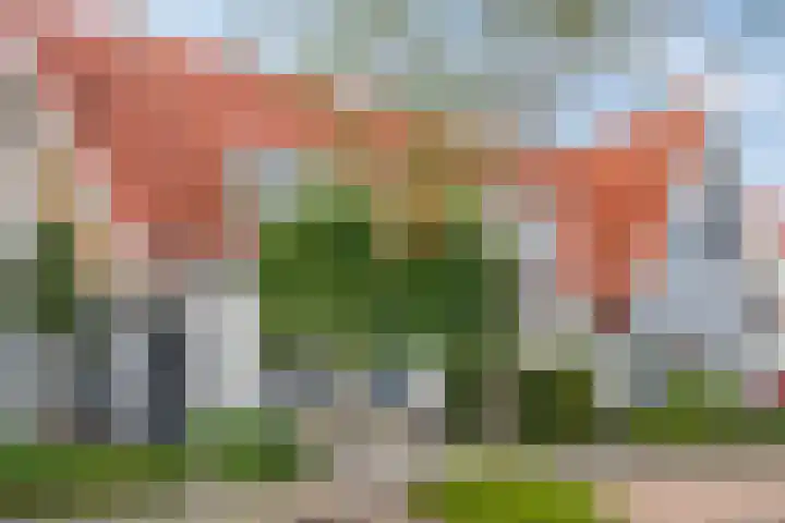 Aurelia 6 Terneuzen thumbnail 6