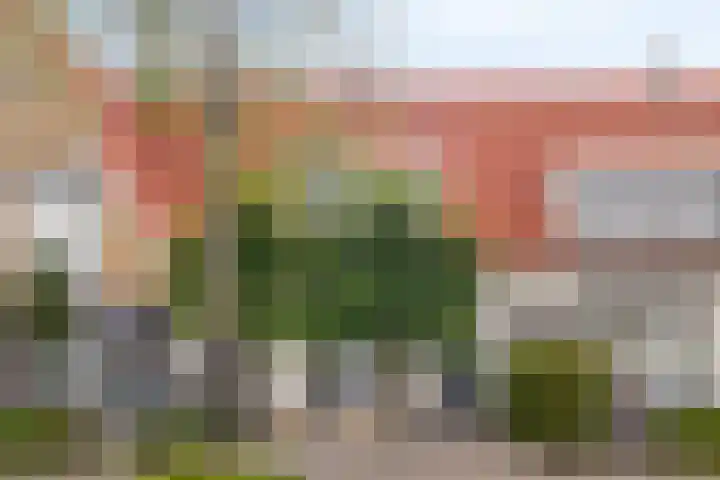 Aurelia 6 Terneuzen thumbnail 7