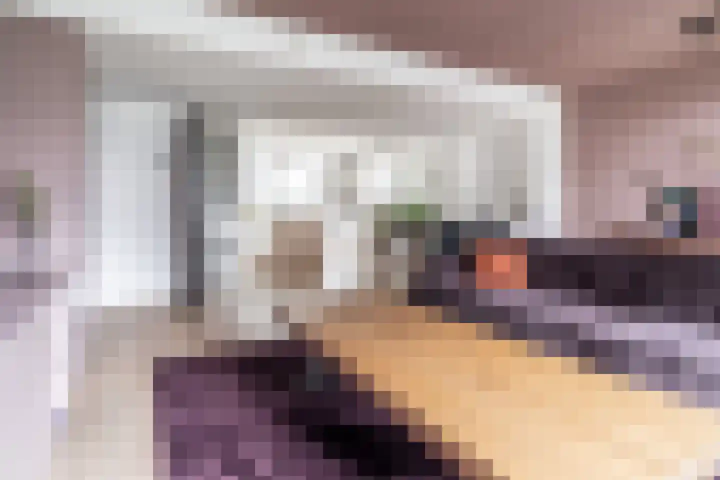 Aureliahof 3 Schiedam thumbnail 17
