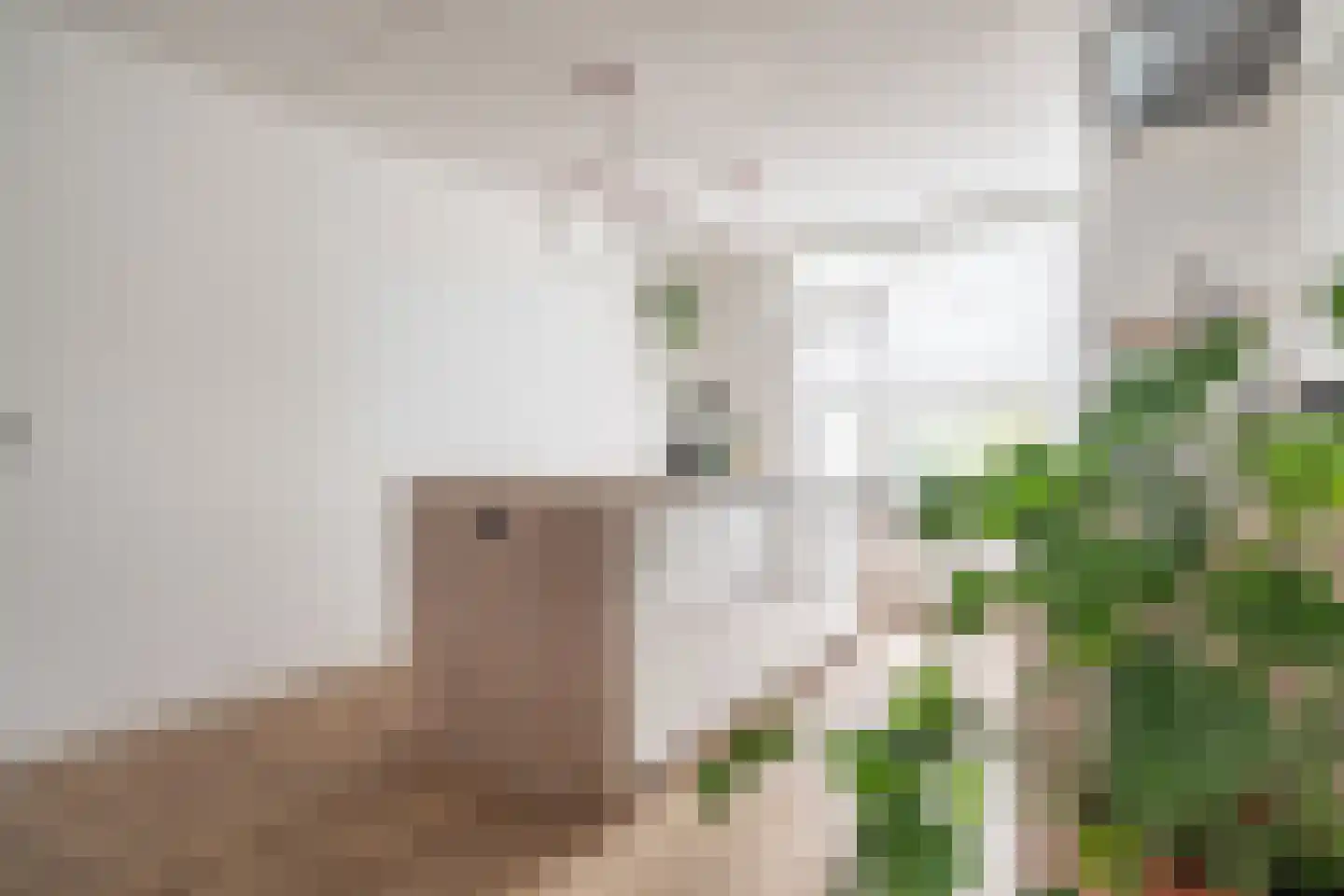 Aureliahof 3 Schiedam thumbnail 22