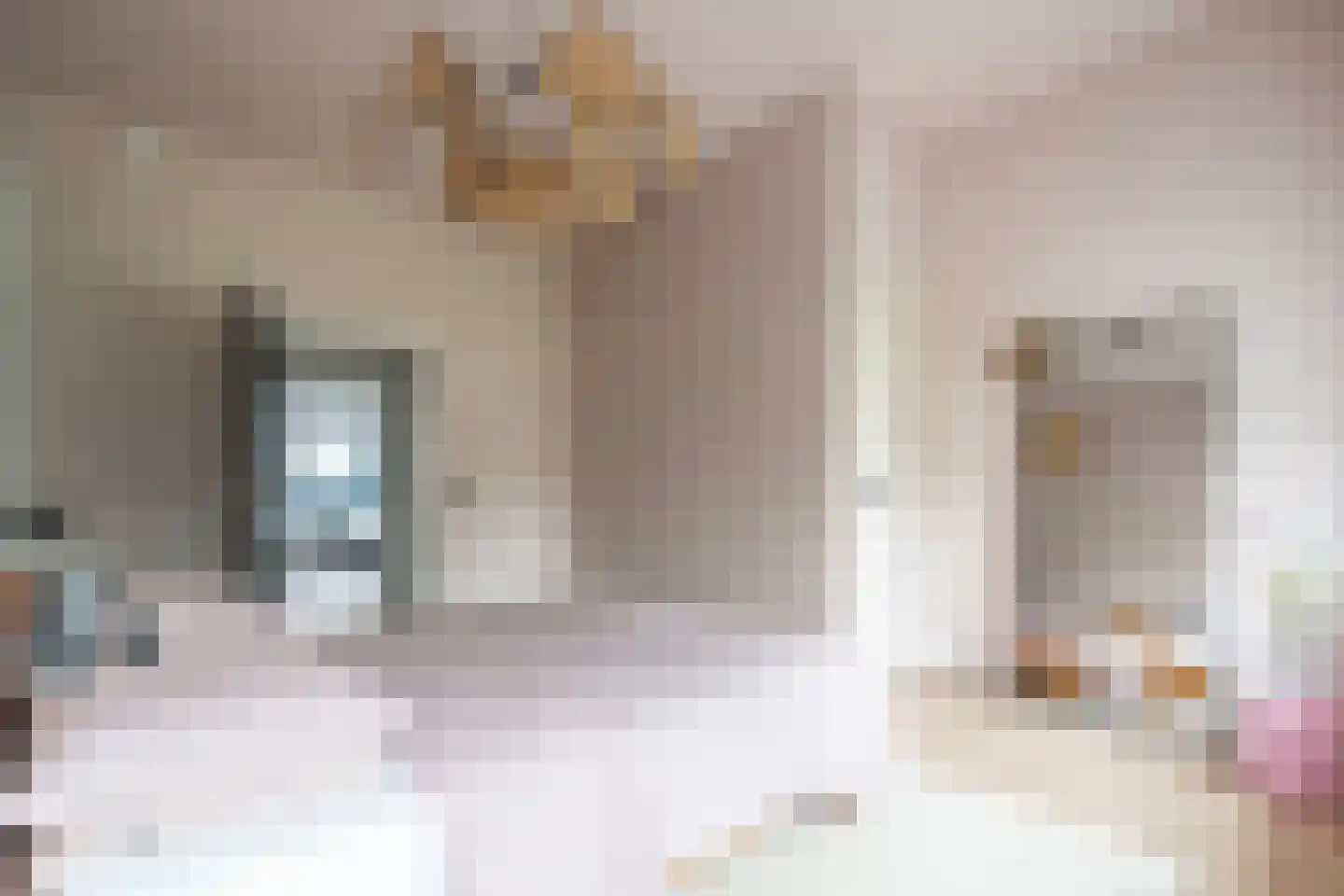 Aureliahof 3 Schiedam thumbnail 37