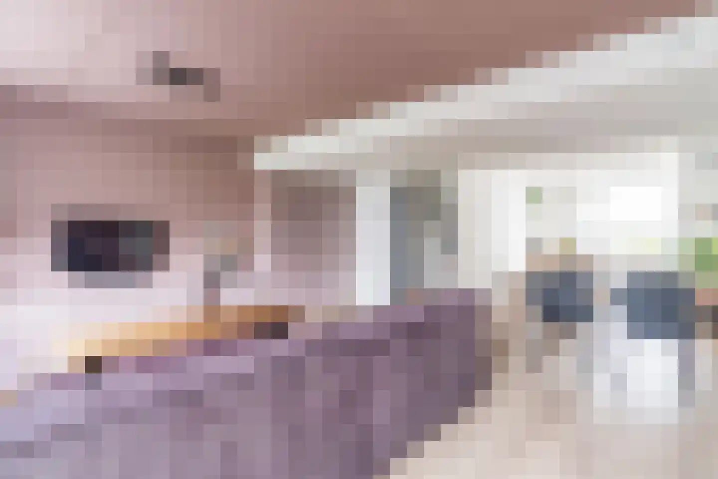 Aureliahof 3 Schiedam thumbnail 4