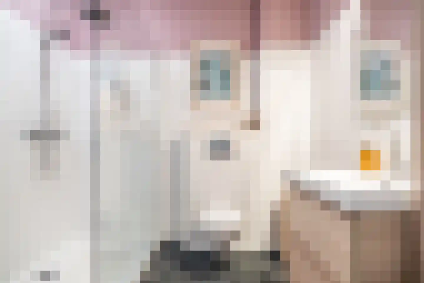 Aureliahof 3 Schiedam thumbnail 46