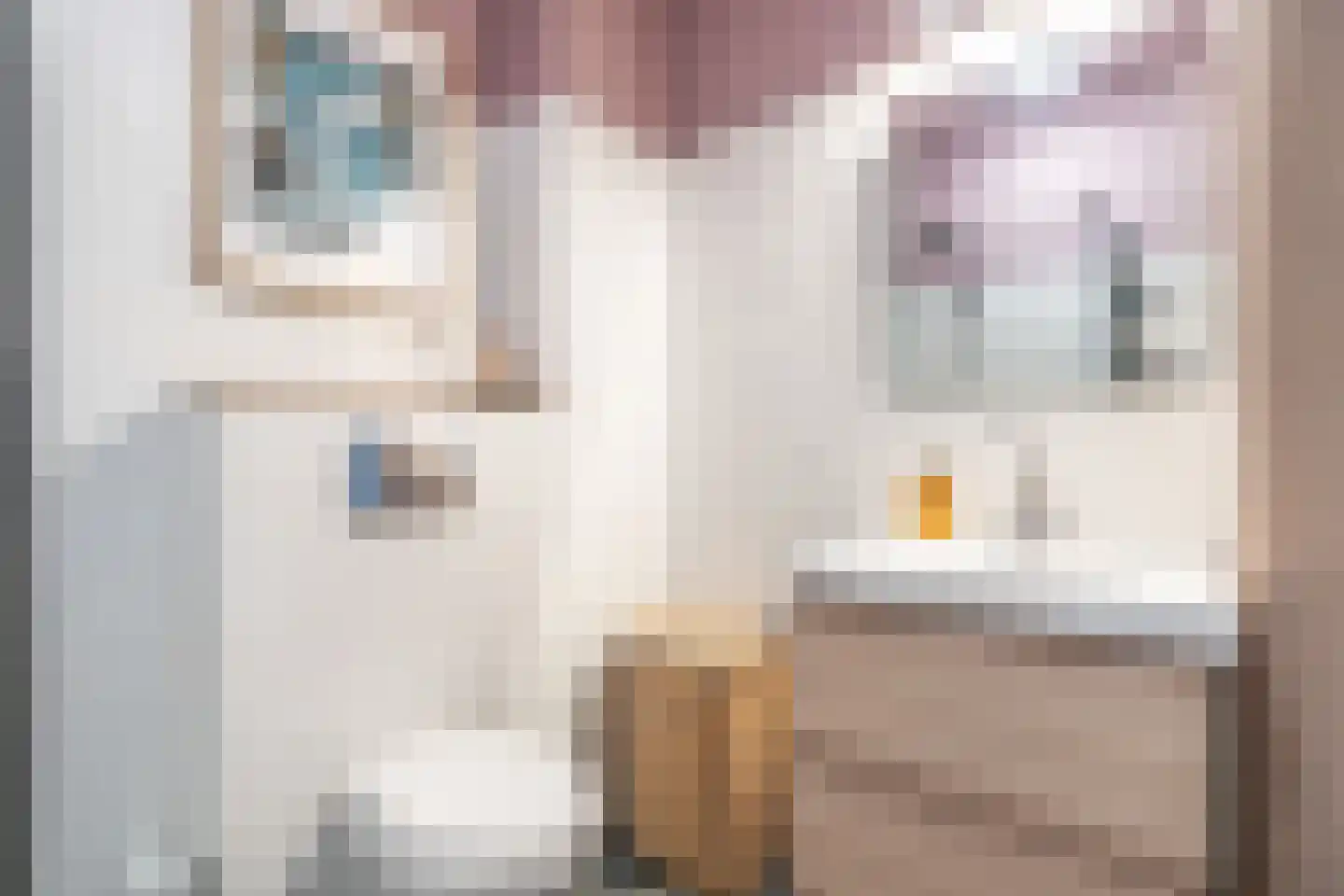 Aureliahof 3 Schiedam thumbnail 47