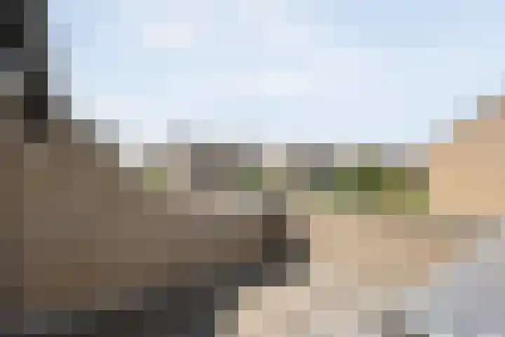 Aureliavlinder 16 Zwolle thumbnail 30