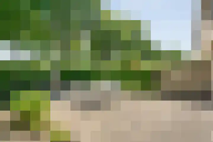 Aureliavlinder 16 Zwolle thumbnail 32