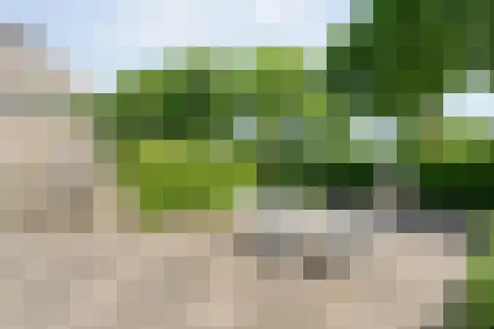 Aureliavlinder 16 Zwolle thumbnail 33