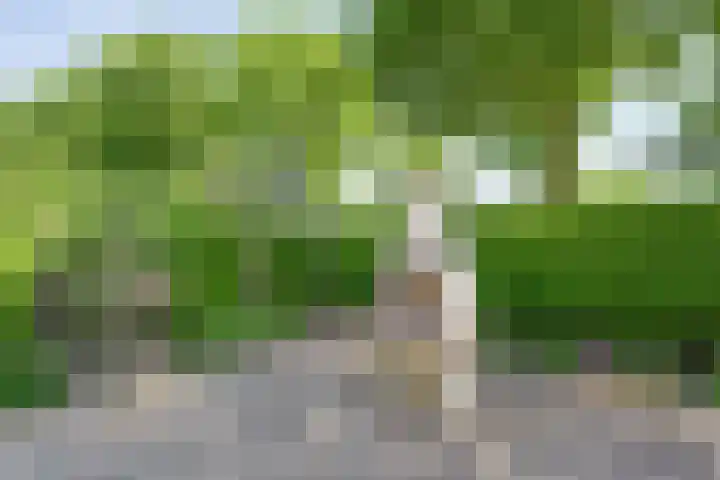 Aureliavlinder 16 Zwolle thumbnail 35