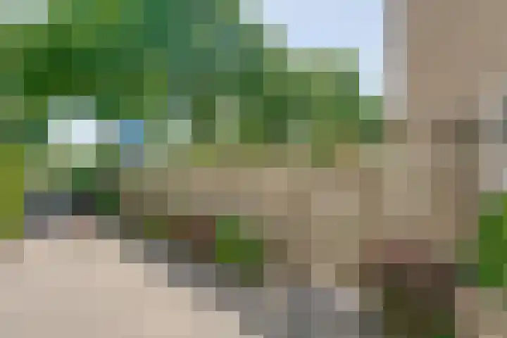 Aureliavlinder 16 Zwolle thumbnail 38
