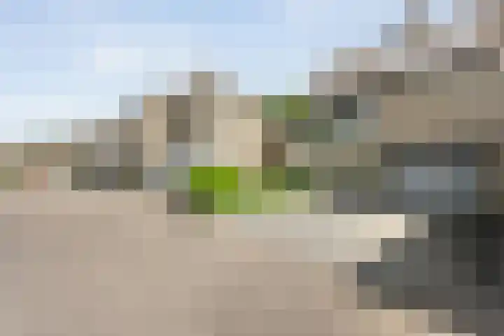 Aureliavlinder 16 Zwolle thumbnail 43