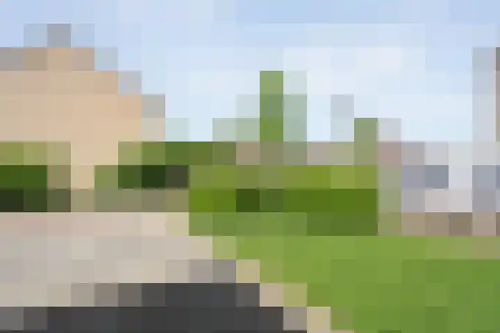 Aureliavlinder 16 Zwolle thumbnail 44