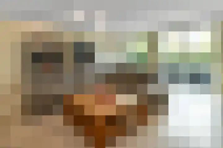 Aurelius 23 Elst thumbnail 11