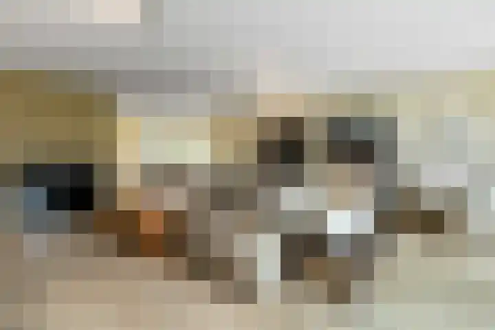 Aurelius 23 Elst thumbnail 12