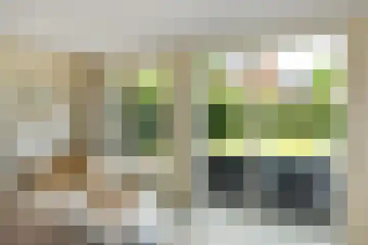 Aurelius 23 Elst thumbnail 13