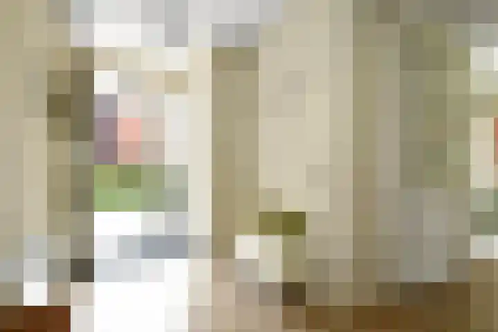 Aurelius 23 Elst thumbnail 15