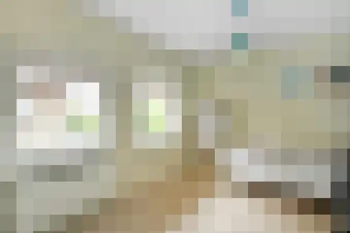 Aurelius 23 Elst thumbnail 23