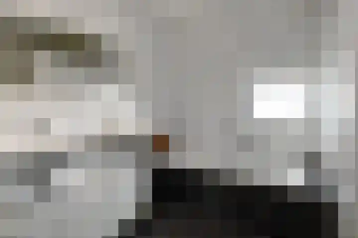 Aurelius 23 Elst thumbnail 25