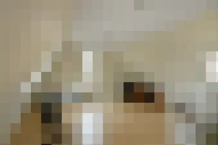 Aurelius 23 Elst thumbnail 32