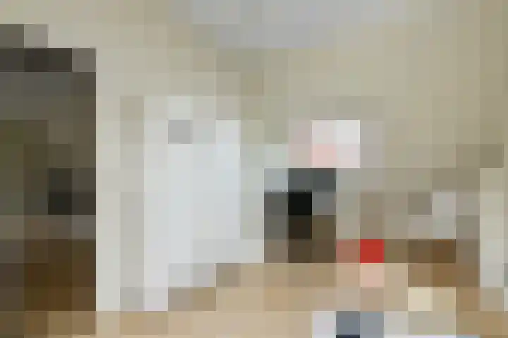 Aurelius 23 Elst thumbnail 37