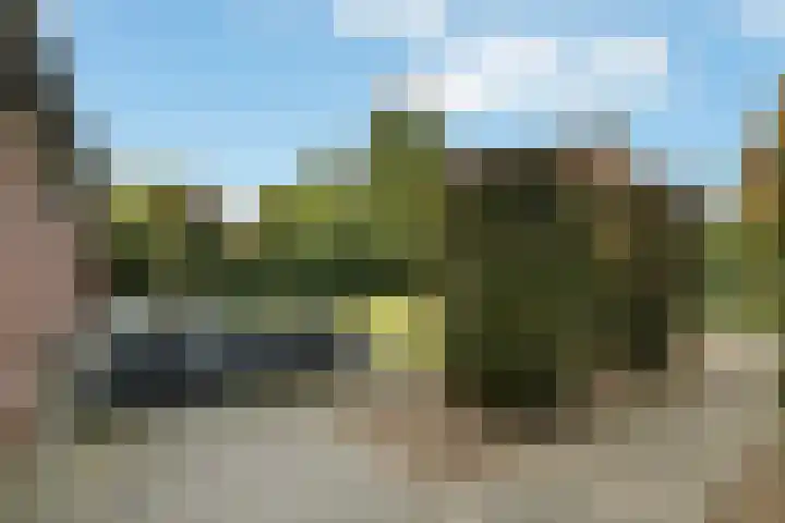 Aurelius 23 Elst thumbnail 39