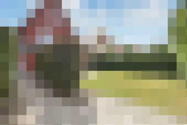 Aurelius 23 Elst thumbnail 40