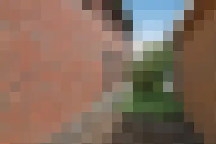 Aurelius 23 Elst thumbnail 44