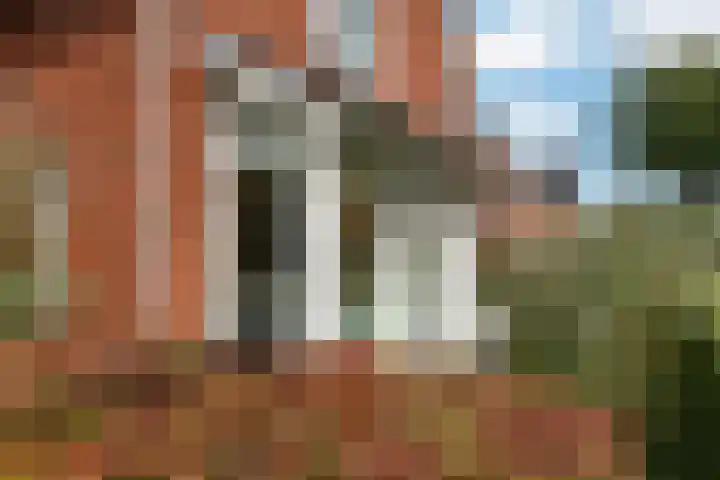 Aurelius 23 Elst thumbnail 45