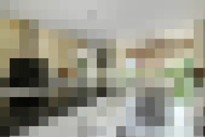 Aurelius 23 Elst thumbnail 5