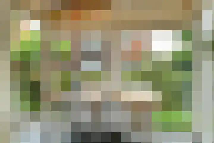 Aurelius 23 Elst thumbnail 6