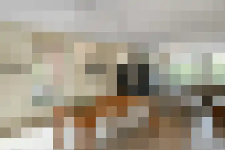 Aurelius 23 Elst thumbnail 9