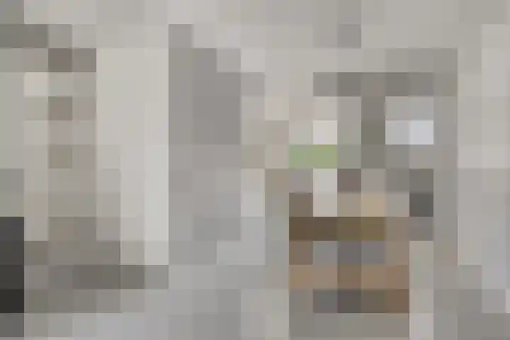 Aureliushof 139 E Maastricht thumbnail 13