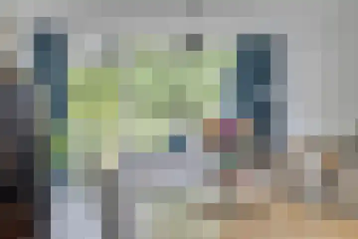Aureliushof 139 E Maastricht thumbnail 14