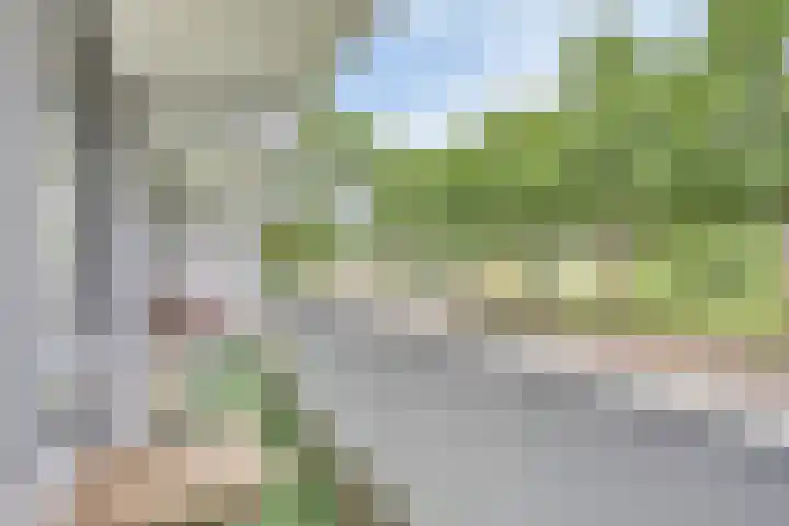 Aureliushof 139 E Maastricht thumbnail 31
