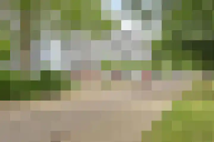 Aureliushof 139 E Maastricht thumbnail 36