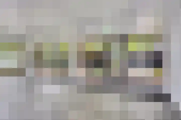Aureliushof 139 E Maastricht thumbnail 5