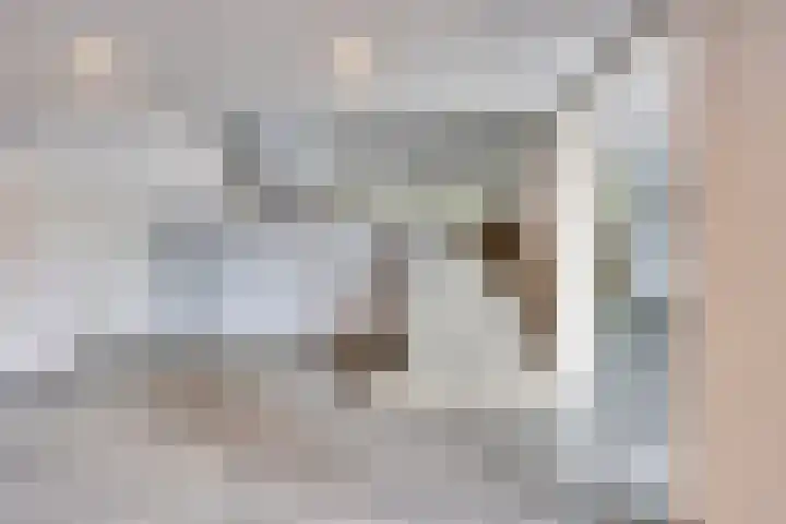 Aureliushof 139 E Maastricht thumbnail 8
