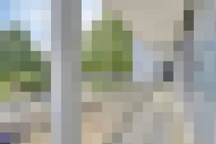Aureliushof 139 E Maastricht thumbnail 9