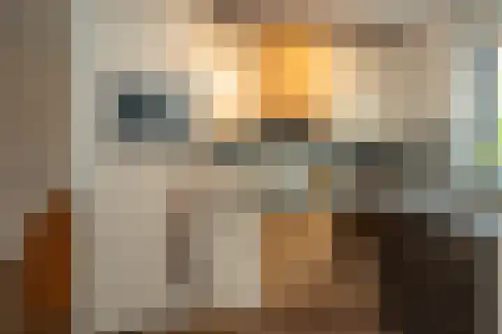 Aureliushof 7 Beuningen Gld thumbnail 13