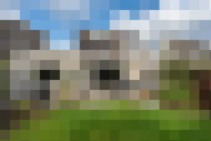 Aureliushof 7 Beuningen Gld thumbnail 35
