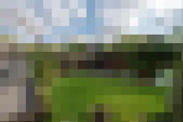 Aureliushof 7 Beuningen Gld thumbnail 38