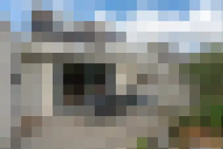 Aureliushof 7 Beuningen Gld thumbnail 39