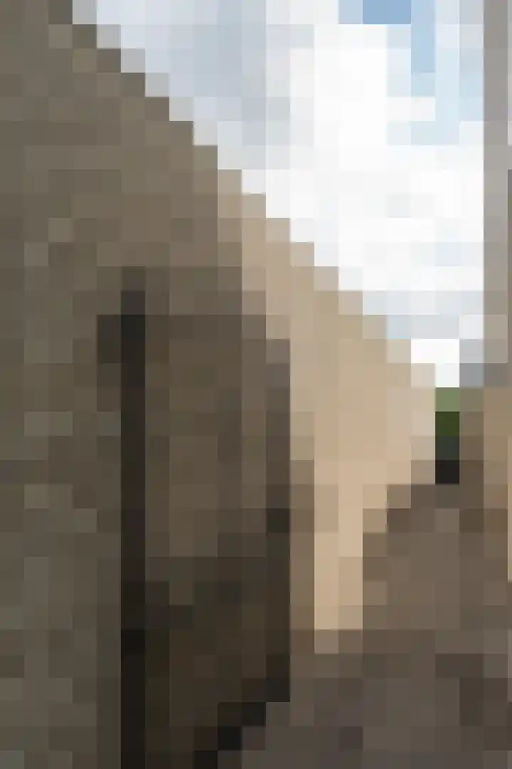Aureliushof 7 Beuningen Gld thumbnail 41