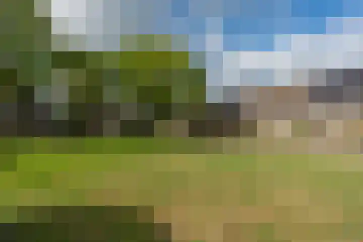 Aureliushof 7 Beuningen Gld thumbnail 42