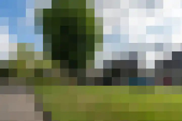 Aureliushof 7 Beuningen Gld thumbnail 43