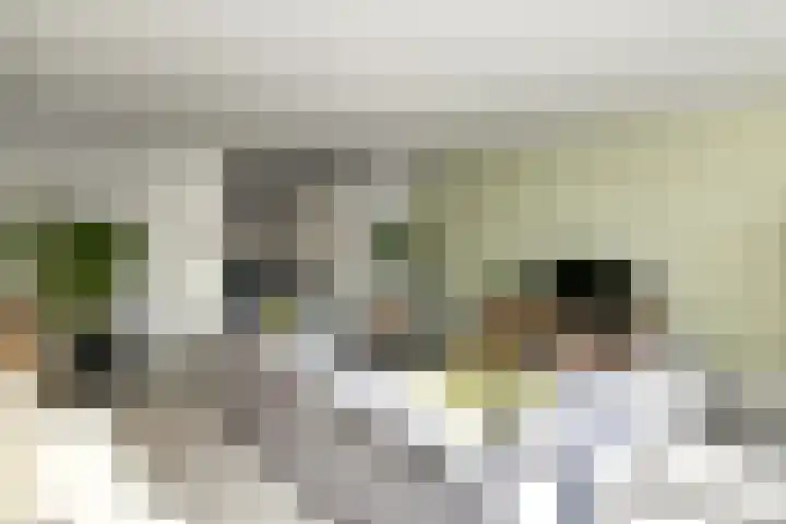 Aureus 103 Elst thumbnail 21
