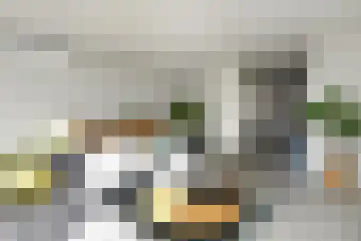 Aureus 103 Elst thumbnail 22