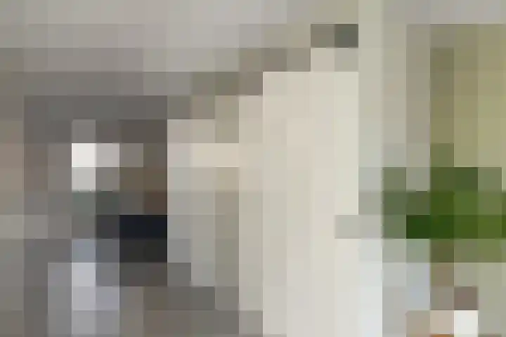 Aureus 103 Elst thumbnail 23