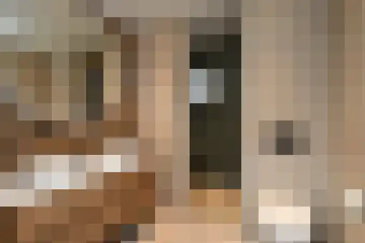 Aureus 103 Elst thumbnail 40