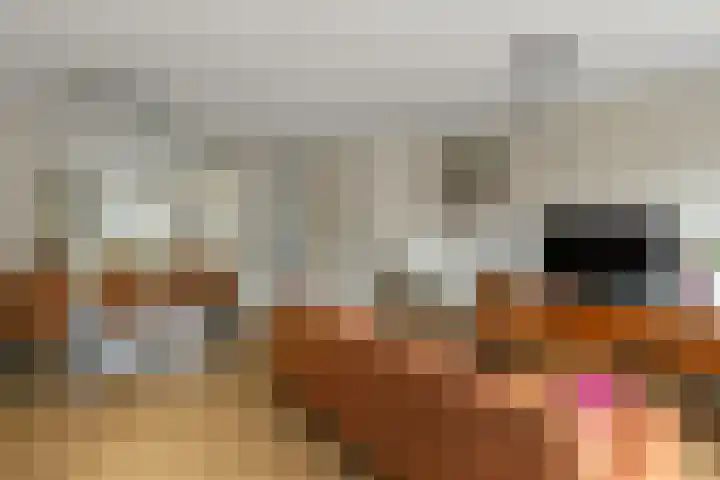 Aureus 26 Elst thumbnail 10