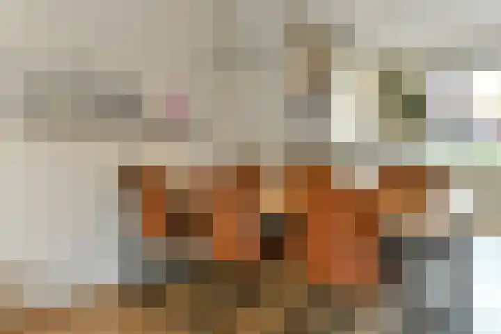 Aureus 26 Elst thumbnail 11